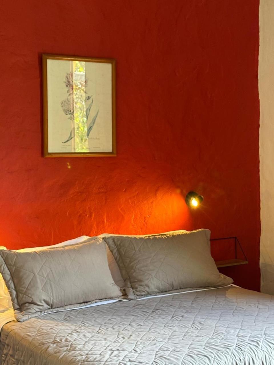 Villa Dos Pireneus Pirenópolis エクステリア 写真